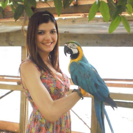 Amazon Rainforest Lodge Padre Cocha Eksteriør billede
