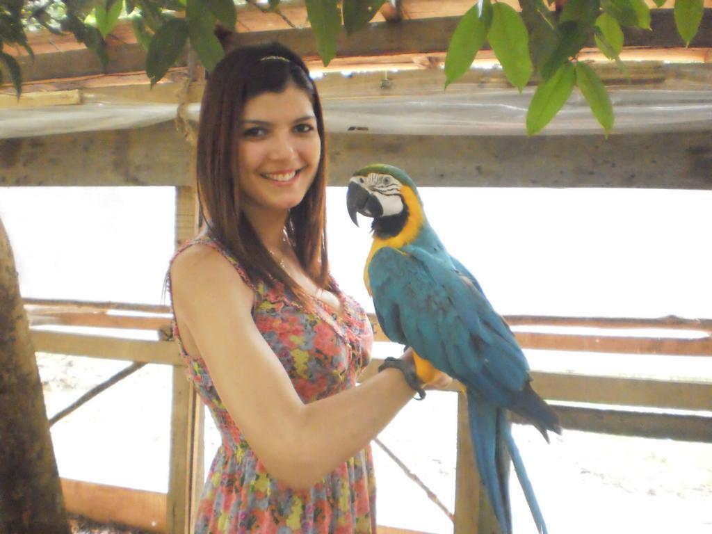Amazon Rainforest Lodge Padre Cocha Eksteriør billede